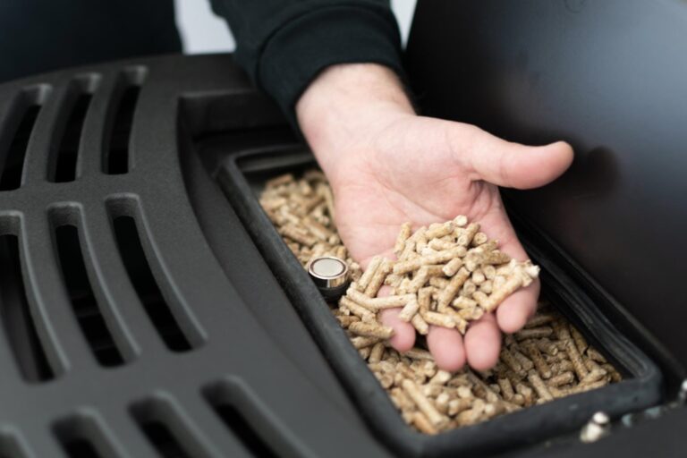 Main remplie de pellets